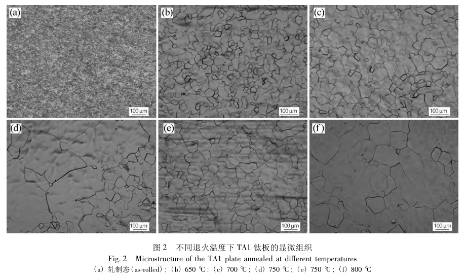 1649950062328494.jpg t2.jpg