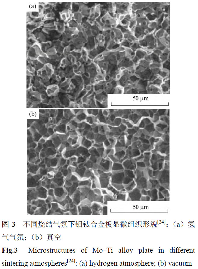 1676089210872848.jpg mt3.jpg