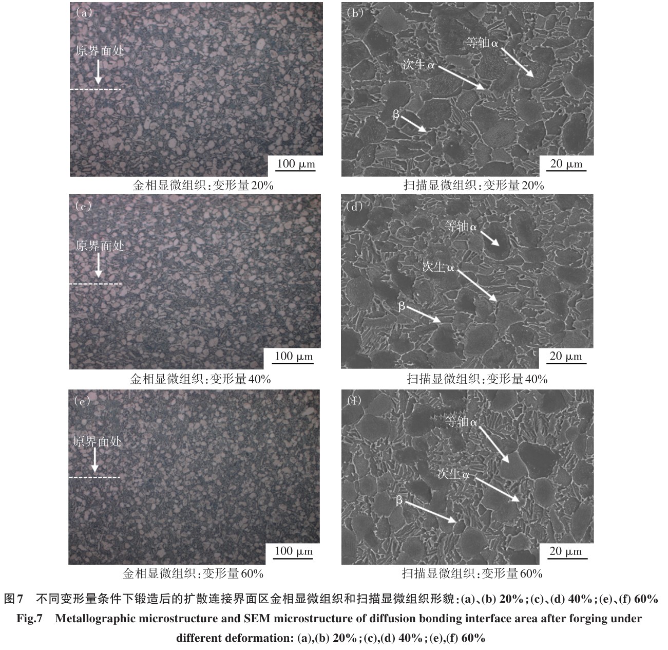 1700449072137574.jpg t7.jpg