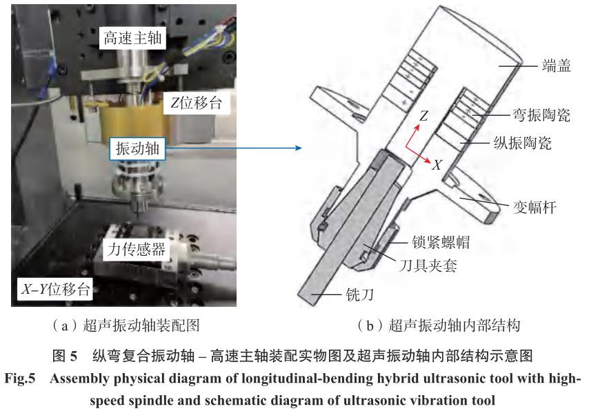 1721399572268775.jpg t5.jpg