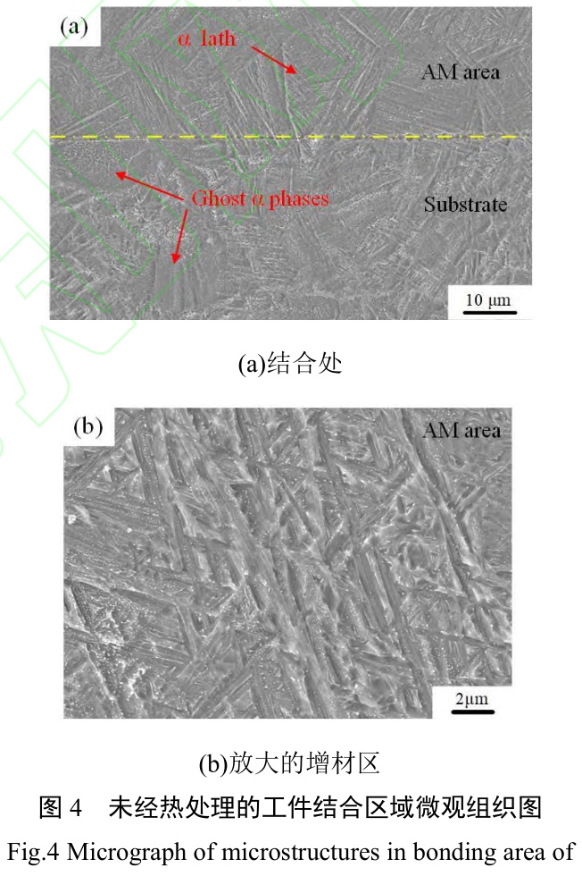 1727840793437610.jpg t4.jpg