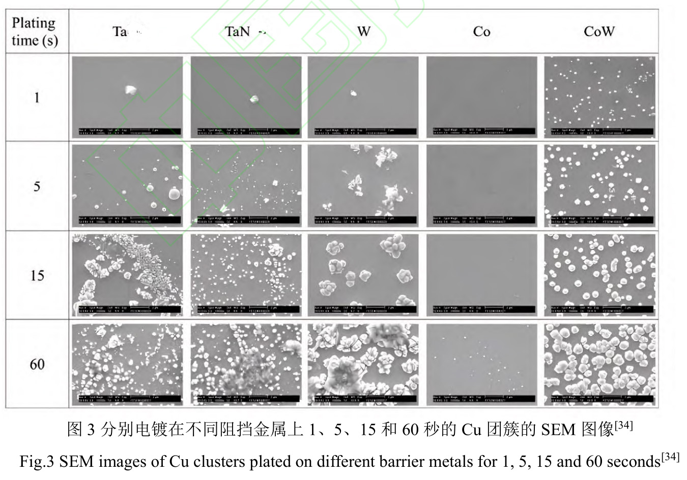 1728214110169812.jpg t3.jpg