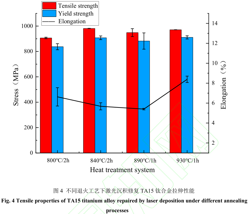 1729342711297944.jpg 4.jpg