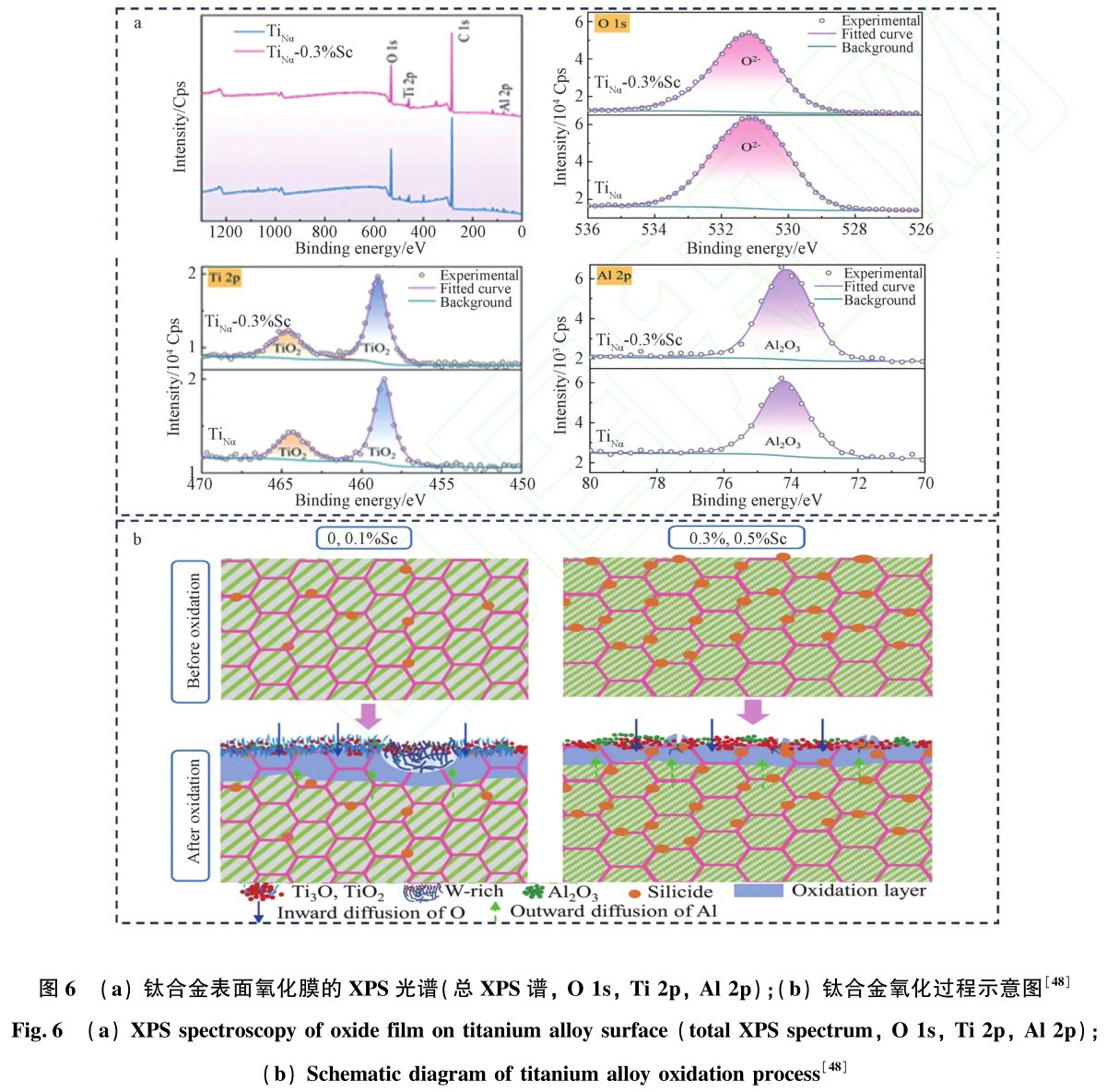 1731229025358238.jpg 6.jpg