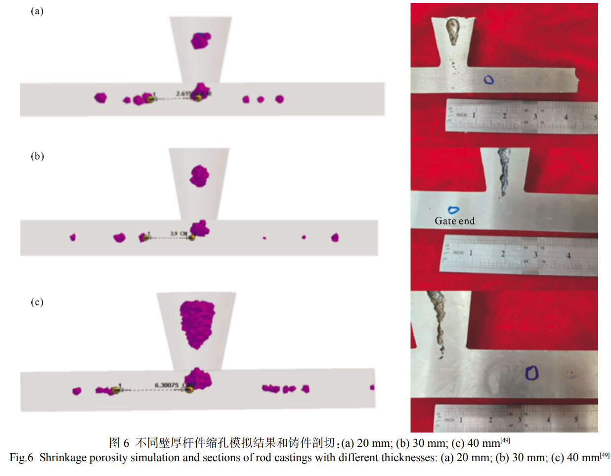 1753025681877550.jpg 未標題-1.jpg